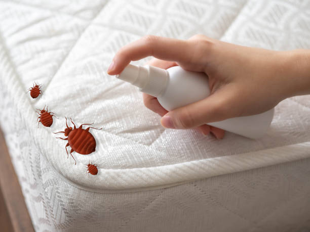 Best Wasp Removal Services  in Butler, PA