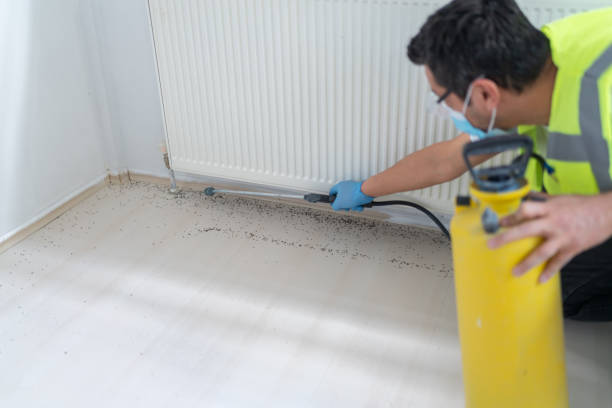 Flea Control Services in Butler, PA